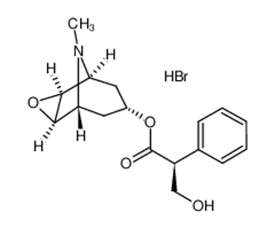 Picture of Scopolamine hydrobromide