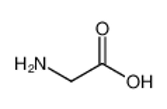 Picture of Glycine