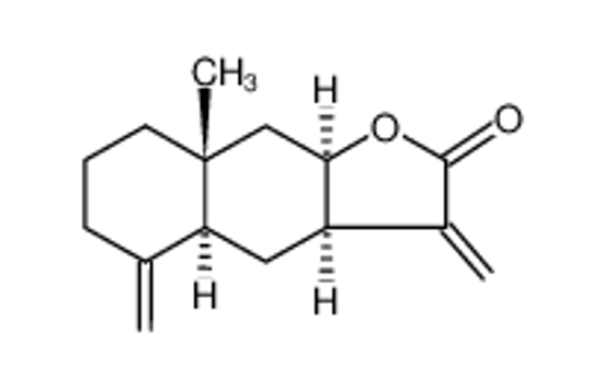 Picture of isoalantolactone