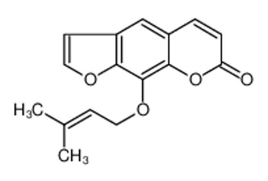 Picture of imperatorin