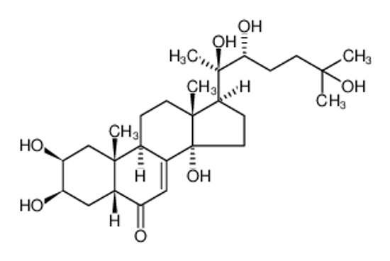 Picture of 20-hydroxyecdysone