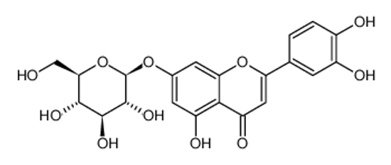 Picture of luteolin 7-O-β-D-glucoside