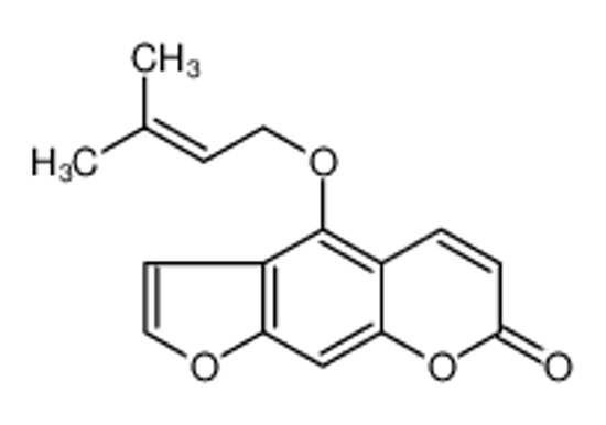 Picture of isoimperatorin