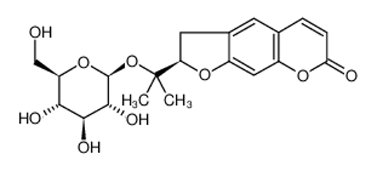 Picture of Nodakenin