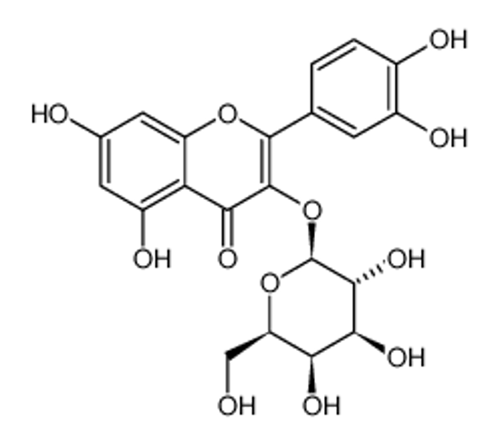 Picture of quercetin 3-O-β-D-galactopyranoside