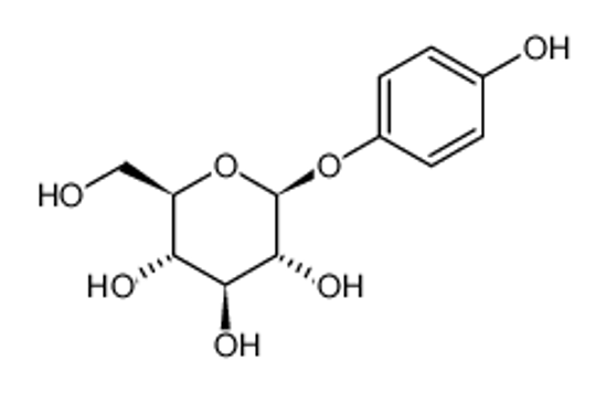Picture of hydroquinone O-β-D-glucopyranoside