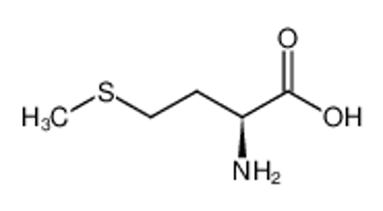 Picture of L-methionine