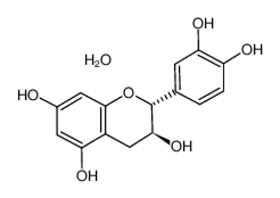 Picture of Catechin Hydrate