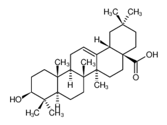 Picture of oleanolic acid