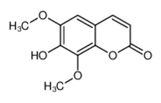 Imagem de 7-hydroxy-6,8-dimethoxychromen-2-one