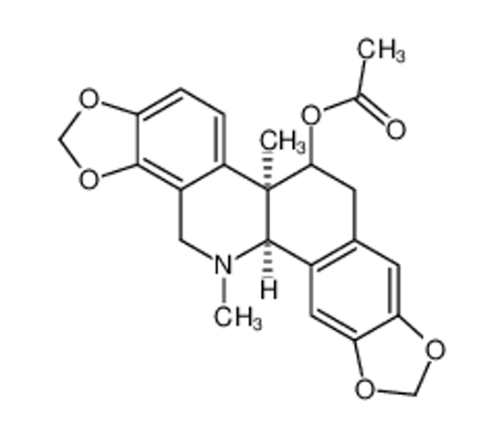 Picture of Acetylcorynoline