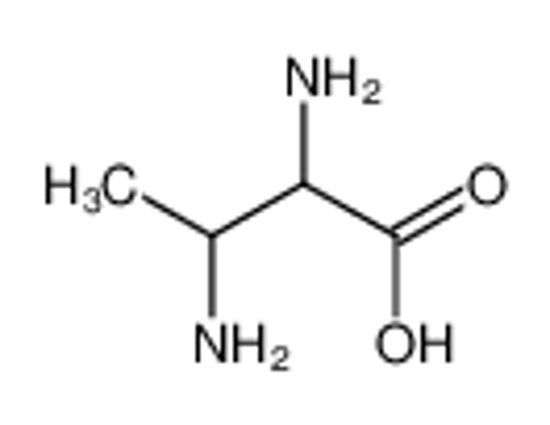 Picture of 2,3-diaminobutanoic acid