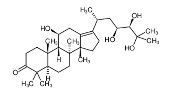 Изображение Alisol A