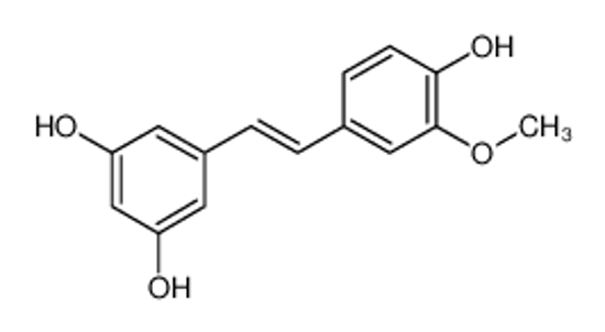 Picture of Isorhapontigenin