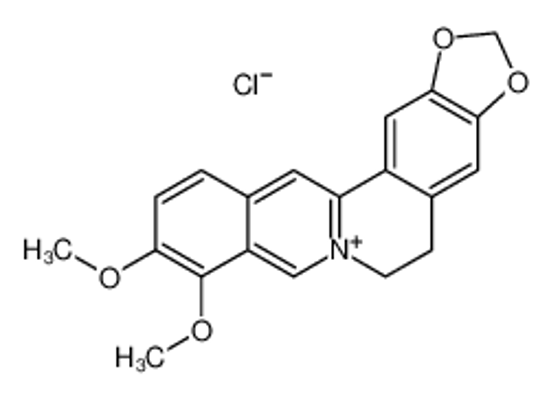 Picture of berberine chloride，Berberine HCL