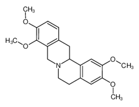 Picture of Tetrahydropalmatine