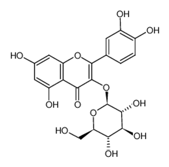 Изображение quercetin 3-O-β-D-glucofuranoside