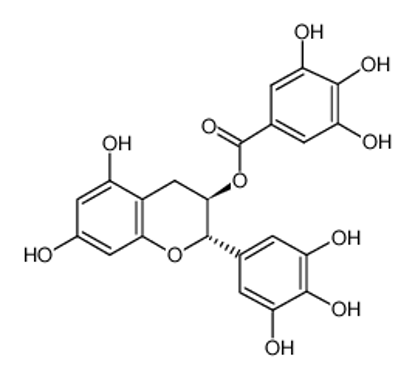 Picture of (-)-Gallocatechin gallate