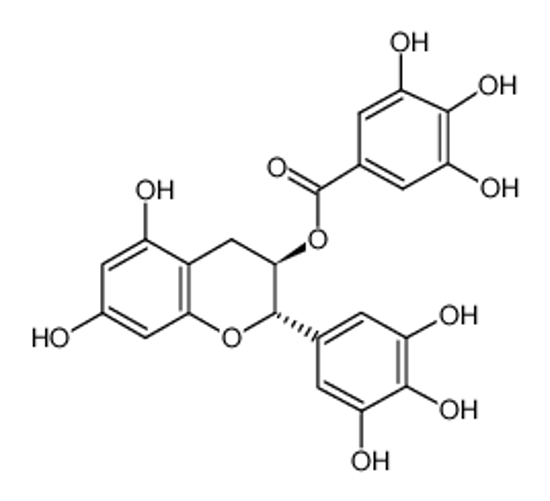 Picture of (-)-Gallocatechin gallate