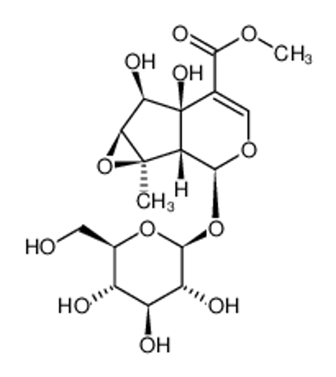 Изображение methyl (1aR,1bS,2S,5aR,6R,6aS)-5a,6-dihydroxy-1a-methyl-2-[(2S,3R,4S,5S,6R)-3,4,5-trihydroxy-6-(hydroxymethyl)oxan-2-yl]oxy-1b,2,6,6a-tetrahydrooxireno[1,2]cyclopenta[4,5-c]pyran-5-carboxylate