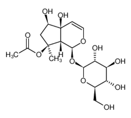 Picture of 8-O-Acetylharpagide