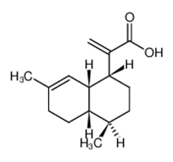 Изображение (+)-artemisinic acid