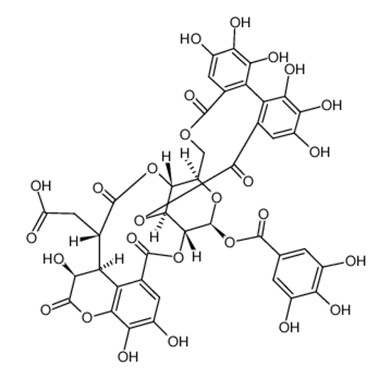 Picture of 1-O-galloyl-2,4-O-chebuloyl-3,6-O-HHDP-β-D-glucose