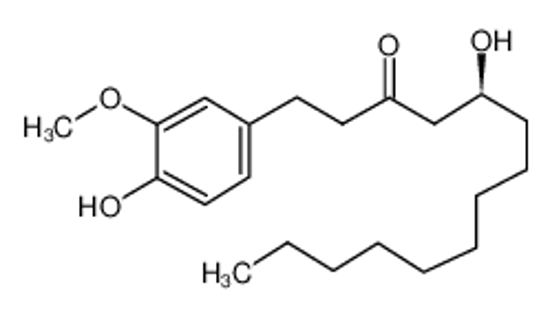 Picture of Ginger extract，Gingerols