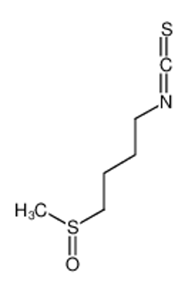 Show details for (R)-sulforaphane