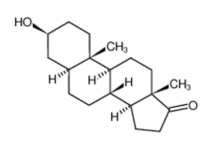 Picture of epiandrosterone