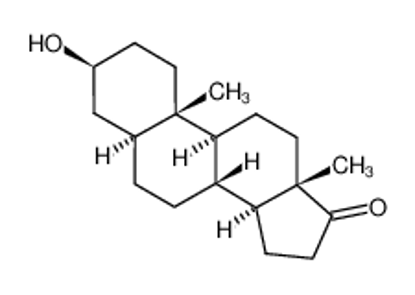 Show details for epiandrosterone