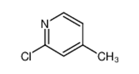 Picture of 2-Chloro-4-picoline