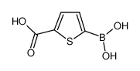 Picture of 2-Carboxythiophene-5-boronic acid