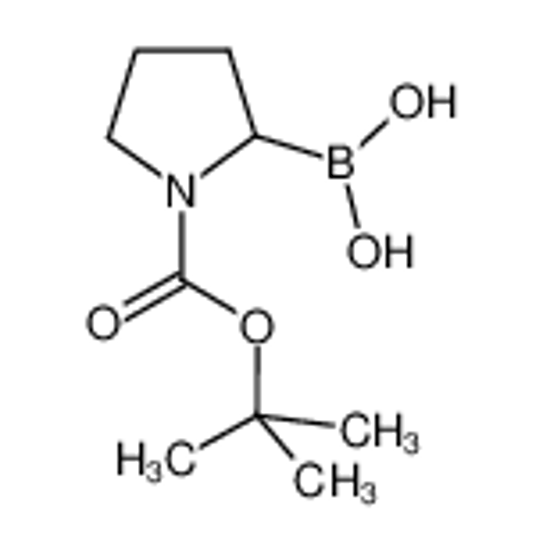 Picture of 1-N-Boc-Pyrrolidin-2-ylboronic acid