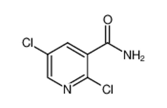 Picture of 2,5-Dichloronicotinamide