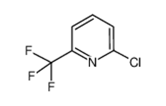 Picture of 2-Chloro-6-(trifluoromethyl)pyridine