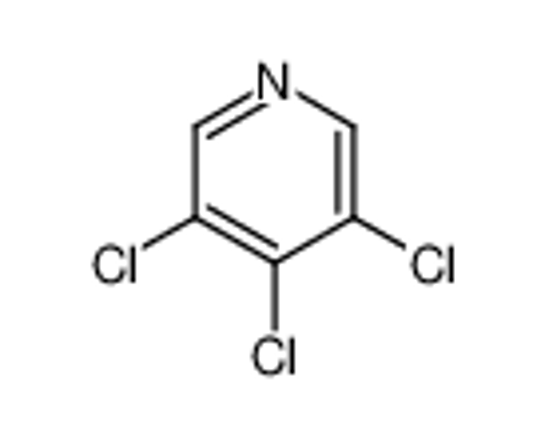 Picture of 3,4,5-Trichloropyridine