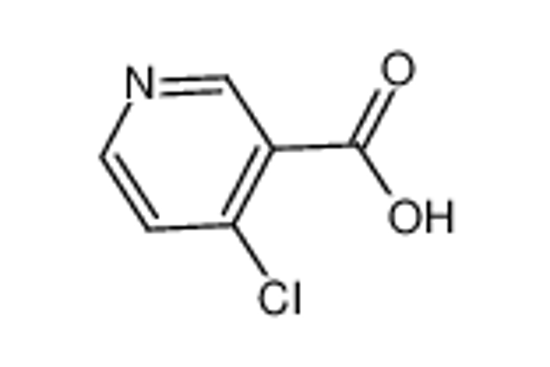Picture of 4-Chloronicotinic acid