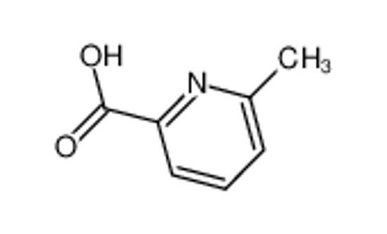 Picture of 6-Methyl-2-pyridinecarboxylic Acid