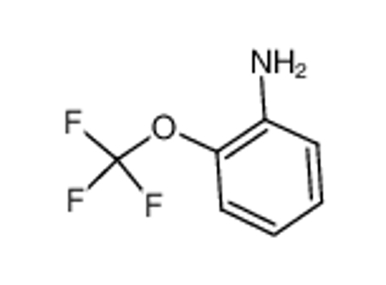Picture of 2-(Trifluoromethoxy)aniline