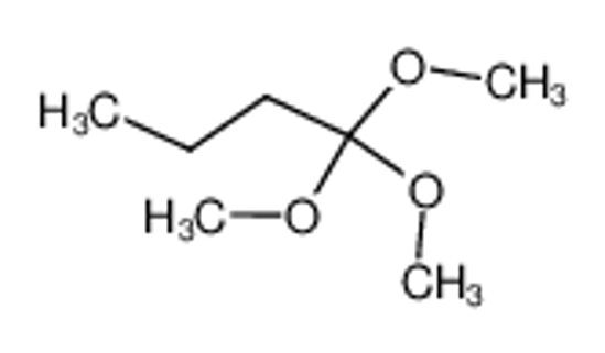 Picture of Trimethyl orthobutyrate