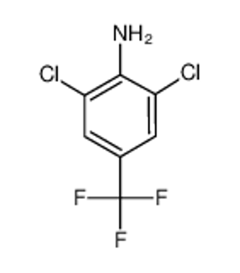 Picture of 4-Amino-3,5-dichlorobenzotrifluoride