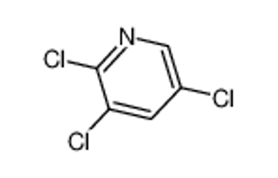 Picture of 2,3,5-Trichloropyridine