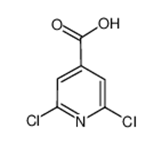 Picture of 2,6-dichloroisonicotinic acid