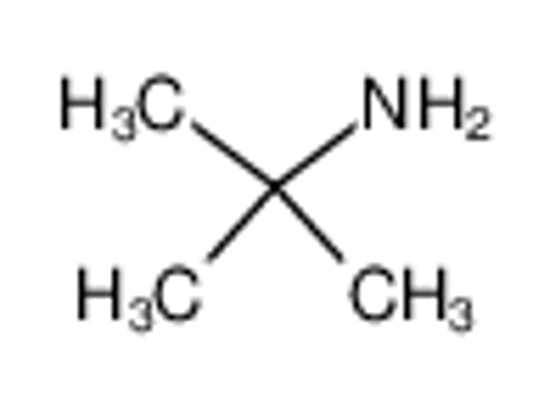Picture of tert-butylamine
