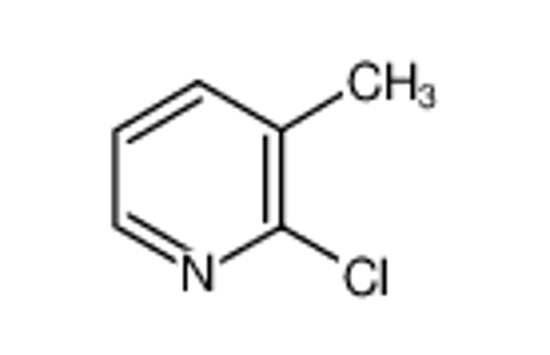 Изображение 2-Chloro-3-picoline