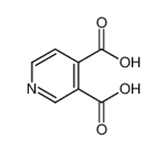 Изображение cinchomeronic acid