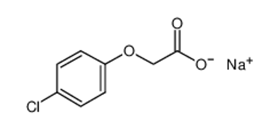 Изображение 4-CPA-sodium