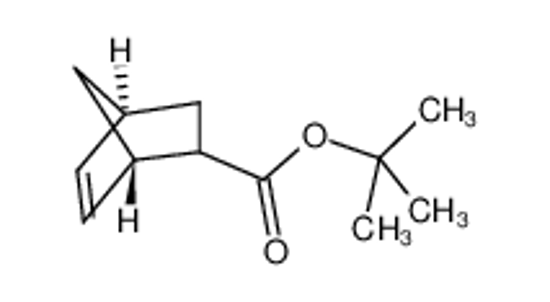 Picture of tert-Butyl Bicyclo[2.2.1]-5-heptene-2-carboxylate