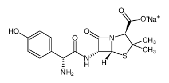 Picture of amoxicillin sodium
